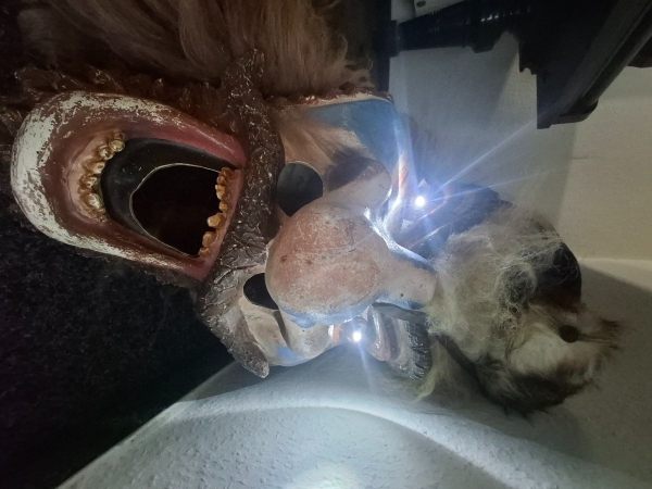 1000177998 Highlander Masken mit Leuchtaugen